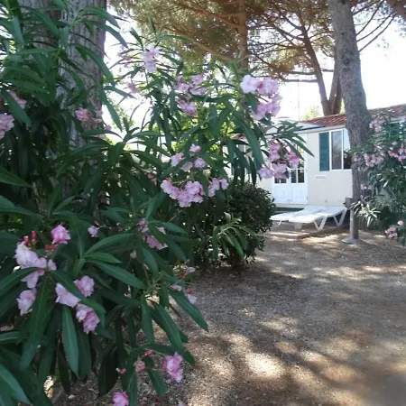 Domek alpejski Comfort Mobilehome Camping Ameglia 5Pers 328 *