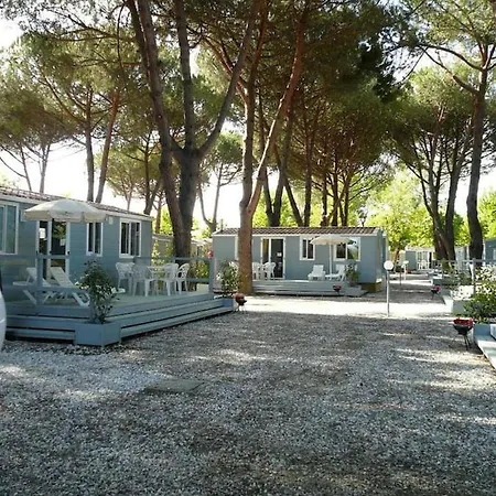 Domek alpejski Comfort Mobilehome Camping Ameglia 5Pers 328 Ameglia